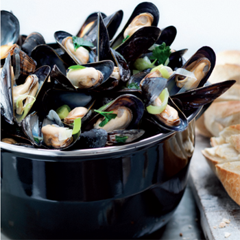 Mosselpan2d7c44edabb7286d157331034e83625c21